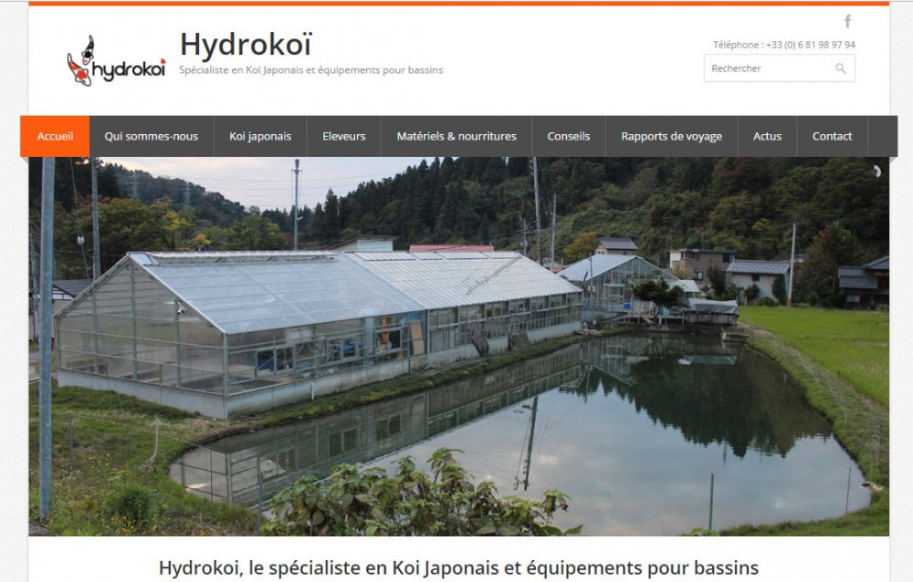 Hydrokoi, le spécialiste de la carpe koï